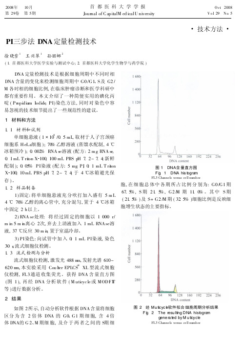 PI三步法DNA定量检测技术-首都医科大学