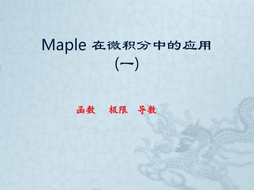 Maple 在微积分中的应用(一).