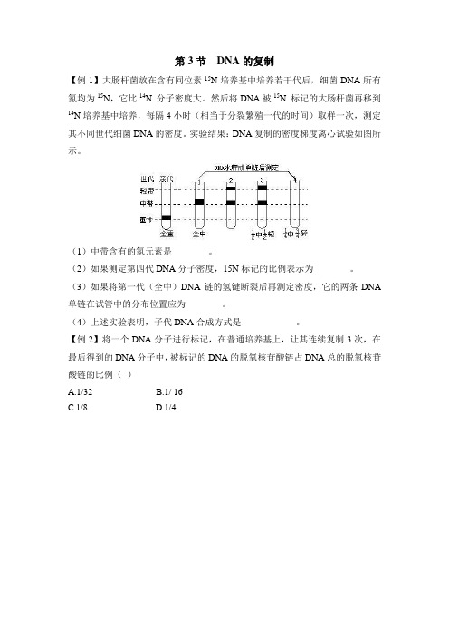 人教版高中生物必修2-3.3典型例题：DNA的复制