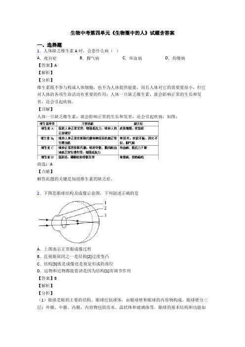 生物中考第四单元《生物圈中的人》试题含答案