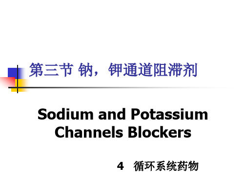 药物化学：第三节 钠,钾通道阻滞剂