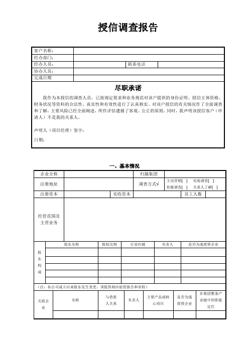 03(地产开发)尽调报告模板