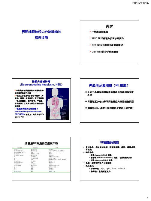 胃肠胰腺神经内分泌肿瘤的病理诊断