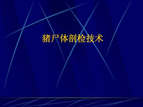 尸体剖检技术