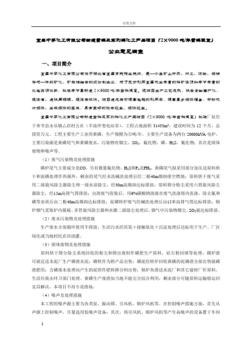 环评项目详细公参