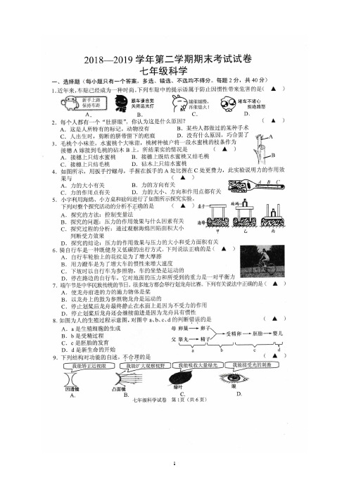 浙江省绍兴市诸暨市2018-2019学年第二学期七年级科学期末试题(含答案 含答题卡 )