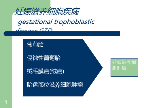 妇产科学多媒体 葡萄胎PPT课件