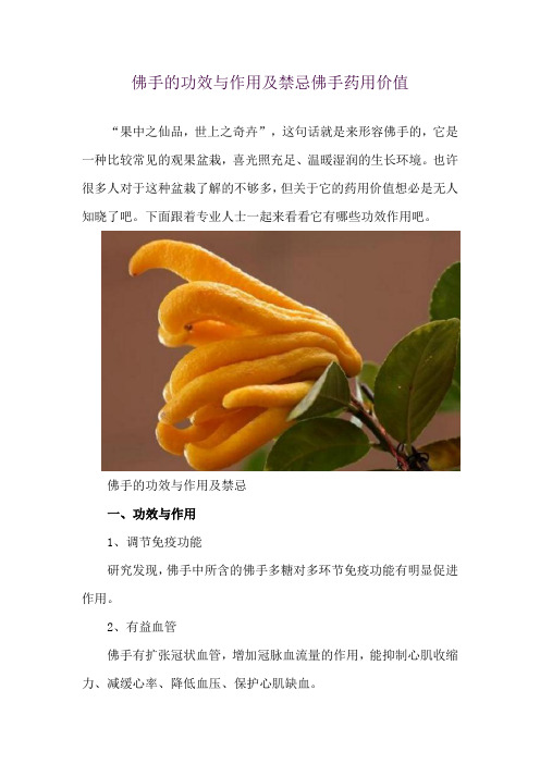 佛手的功效与作用及禁忌 佛手药用价值