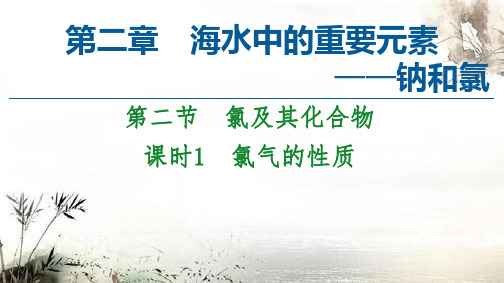 新教材2021-2022学年化学人教版必修第一册课件：—钠和氯第二节氯及其化合物