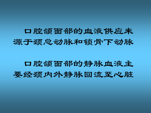 颌面部解剖血管