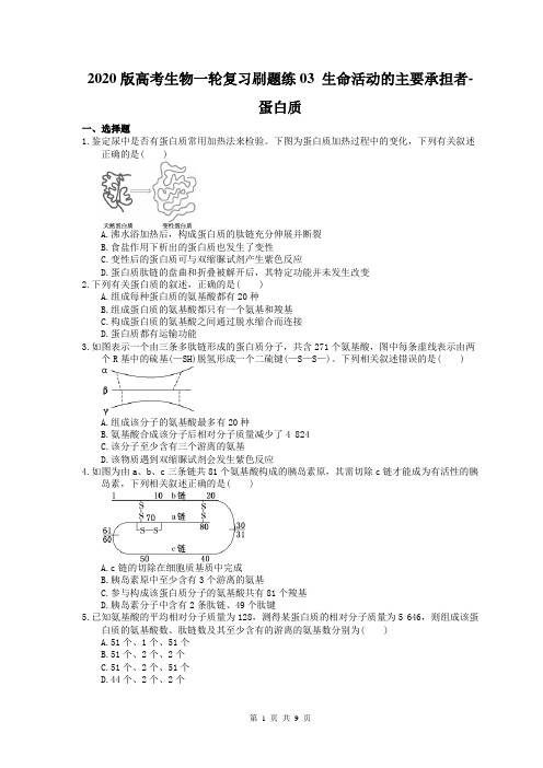 【高考一轮】2020版高考生物一轮复习刷题练03 生命活动的主要承担者-蛋白质(含答案解析)