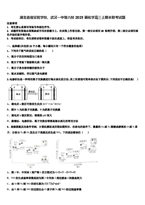 湖北省省实验学校、武汉一中等六校2025届化学高三上期末联考试题含解析