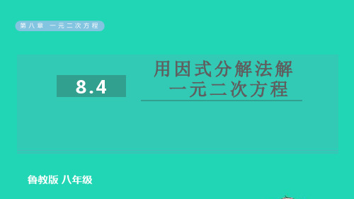 2022春八年级数学下册第八章用因式分解法解一元二次方程习题课件鲁教版五四制ppt