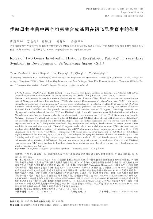 类酵母共生菌中两个组氨酸合成基因在褐飞虱发育中的作用