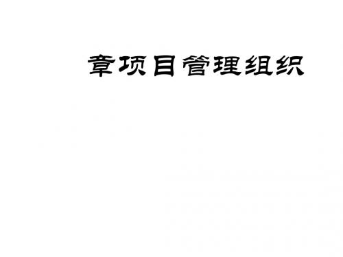 项目管理组织教材(PPT 76张)