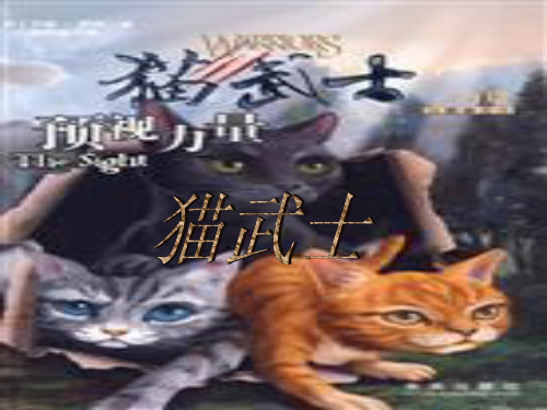 猫武士