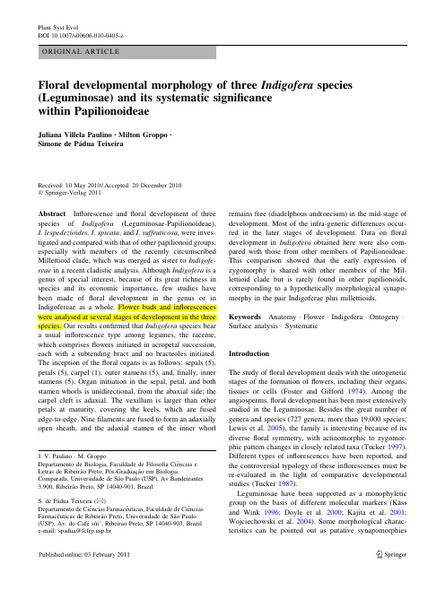 Floral developmental morphology of three Indigofera species