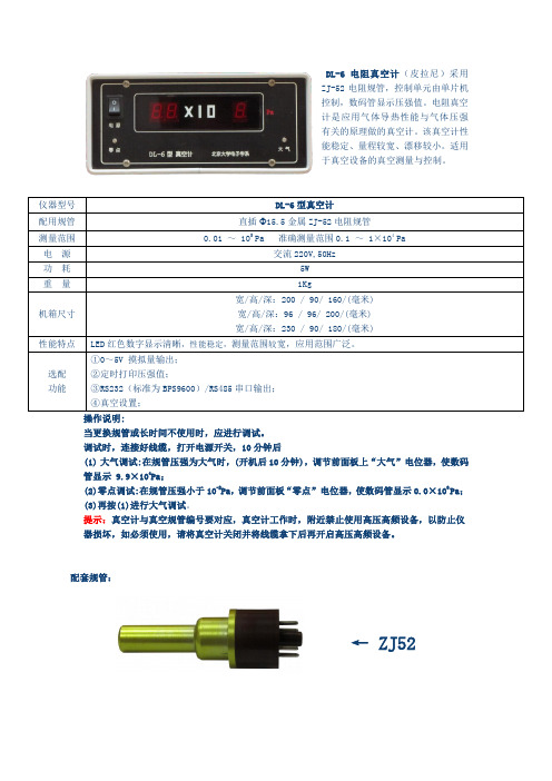 DL6电阻真空计