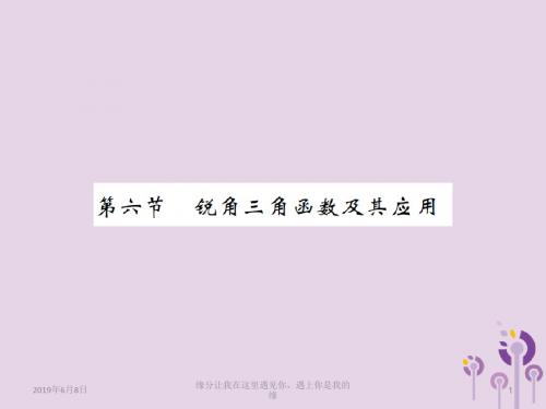 中考数学总复习第四章图形的初步认识与三角形第六节锐角三角函数及其应用