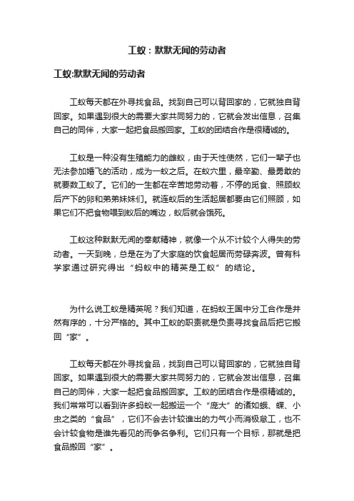 工蚁：默默无闻的劳动者