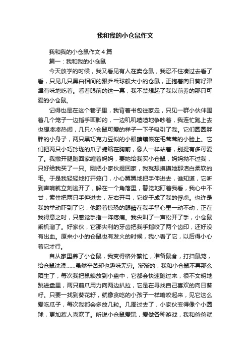 我和我的小仓鼠作文4篇