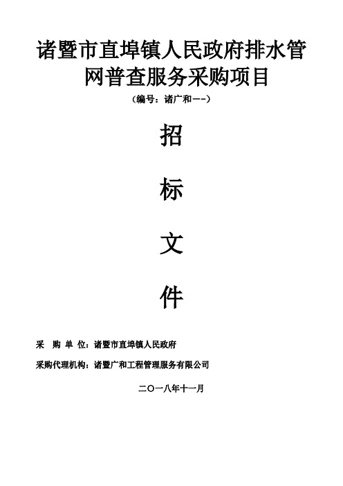 人民政府排水管网普查服务项目的公开招投标书范本