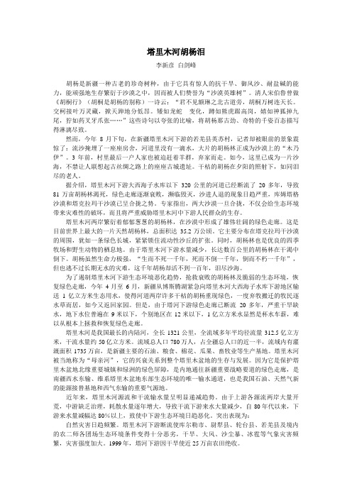 塔里木河胡杨泪