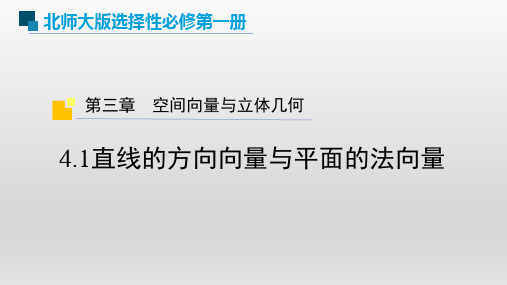 北师大版高中数学选择性必修1第3章4.1直线的方向向量与平面的法向量课件