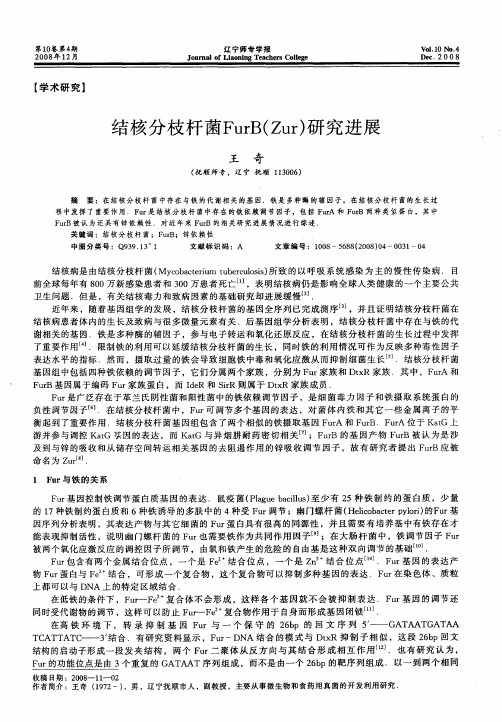 结核分枝杆菌FurB(Zur)研究进展