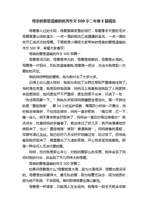 母亲的爱是温暖的优秀作文500字二年级5篇精选