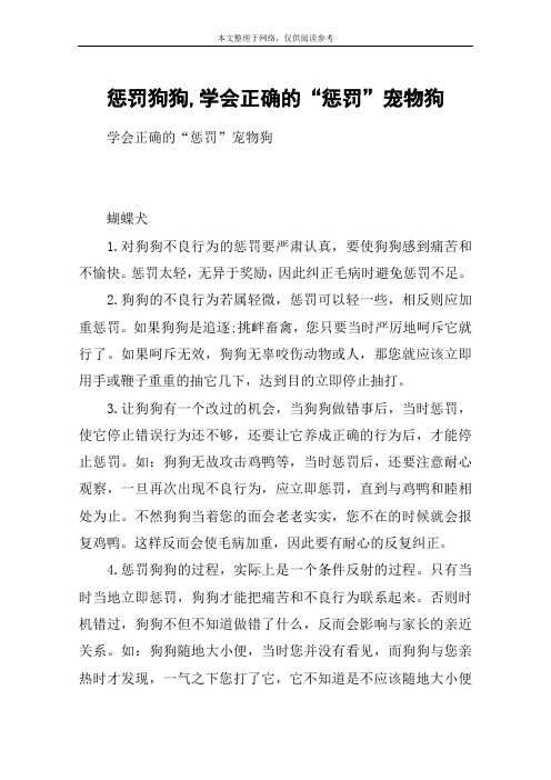 惩罚狗狗,学会正确的“惩罚”宠物狗