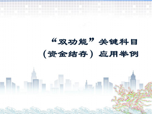 政府会计(第五版)课件： “双功能”关键科目应用