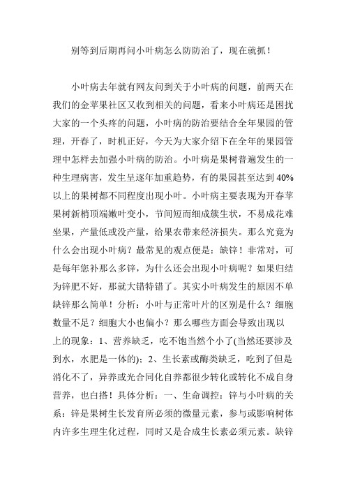 别等到后期再问小叶病怎么防防治了,现在就抓!