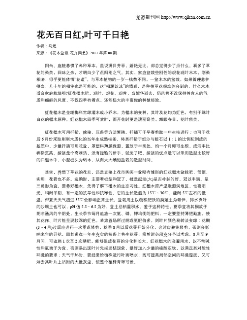 花无百日红,叶可千日艳