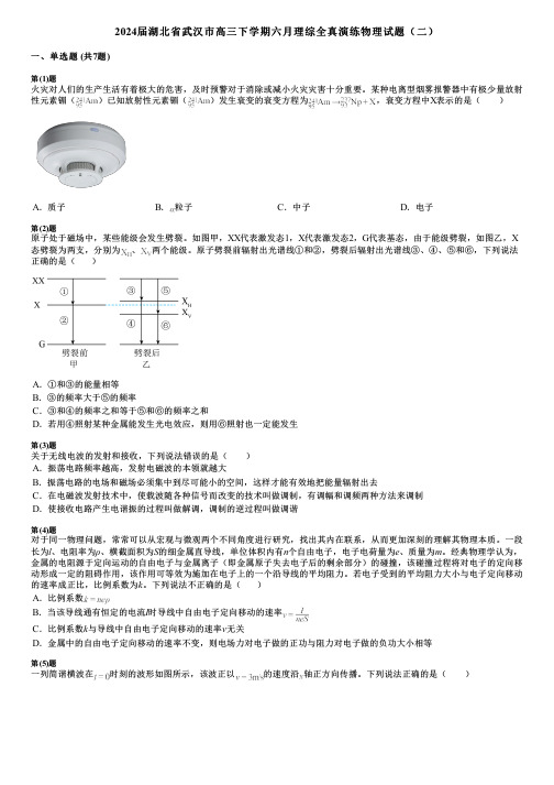 2024届湖北省武汉市高三下学期六月理综全真演练物理试题(二)