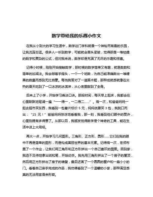 数学带给我的乐趣小作文