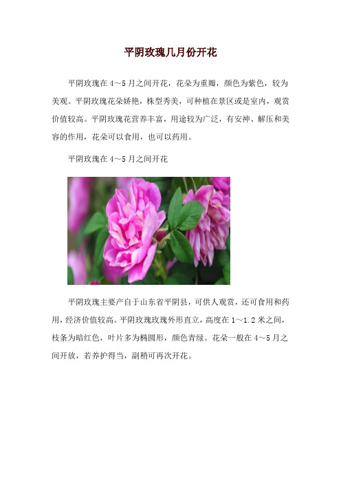 平阴玫瑰几月份开花