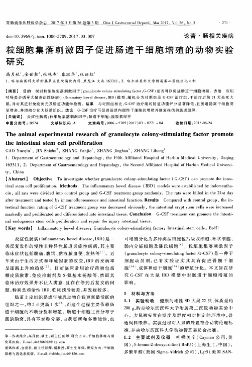 粒细胞集落刺激因子促进肠道干细胞增殖的动物实验研究