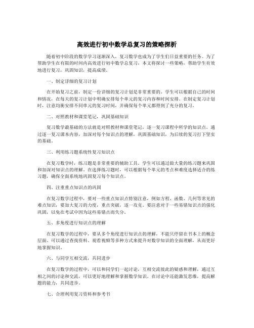 高效进行初中数学总复习的策略探析