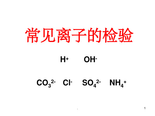 人教版初中化学常见离子的检验ppt课件