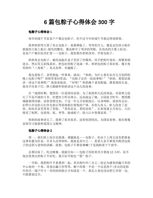 6篇包粽子心得体会300字