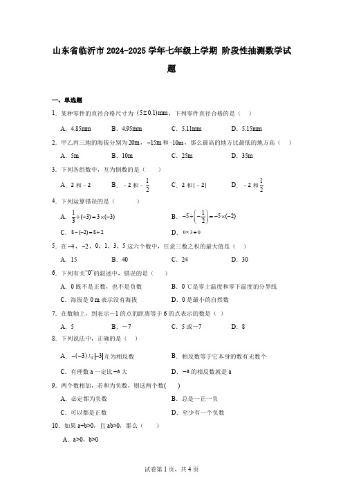 山东省临沂市2024-2025学年七年级上学期阶段性抽测数学试题