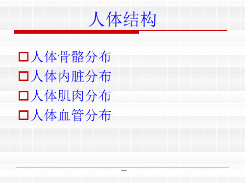 人体结构简介课件