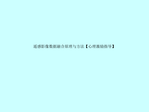 遥感影像数据融合原理与方法【心理激励指导】