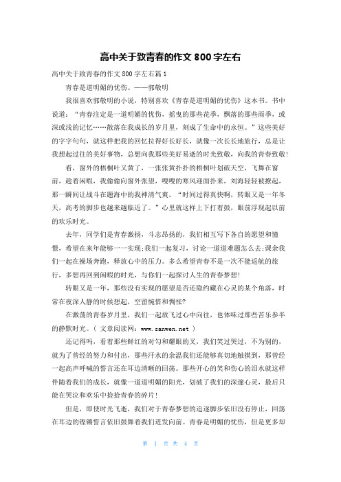 高中关于致青春的作文800字左右