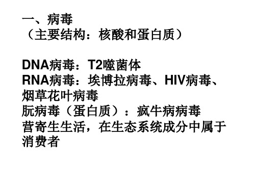 高中病毒细菌专题