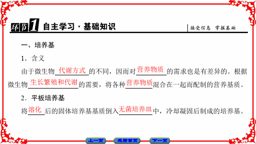 高中生物第1章微生物培养技术第1节微生物的分离和纯培养课件中图版