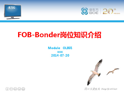 FOB-Bonder岗位知识介绍