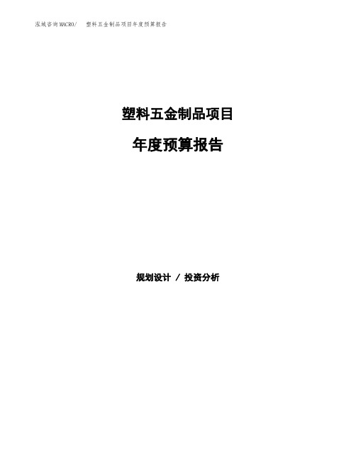 塑料五金制品项目年度预算报告