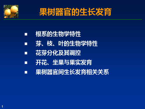 果树器官的生长发育154页PPT